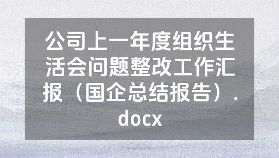 公司上一年度组织生活会问题整改工作汇报（国企总结报告）.docx