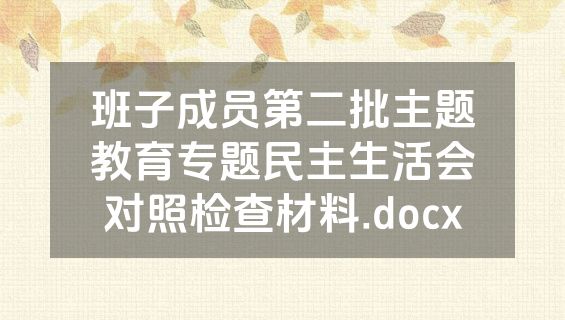 班子成员第二批主题教育专题民主生活会对照检查材料.docx
