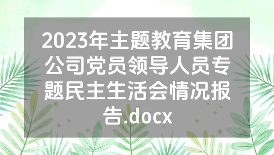 2023年主题教育集团公司党员领导人员专题民主生活会情况报告.docx
