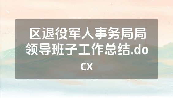 区退役军人事务局局领导班子工作总结.docx