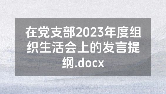 在党支部2023年度组织生活会上的发言提纲.docx