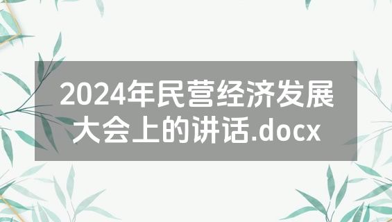2024年民营经济发展大会上的讲话.docx