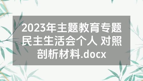 2023年主题教育专题民主生活会个人 对照剖析材料.docx