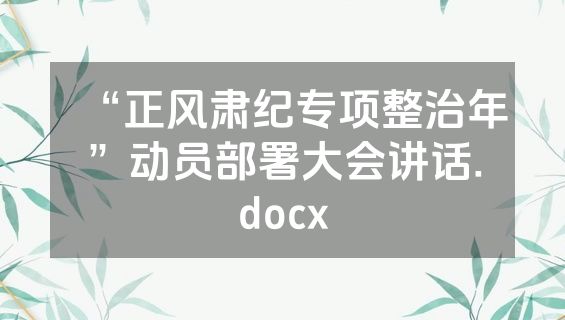 “正风肃纪专项整治年”动员部署大会讲话.docx