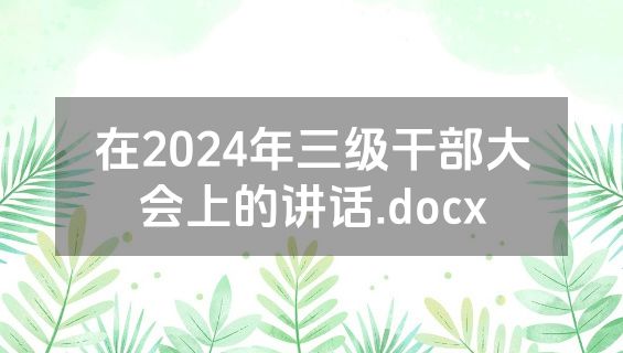 在2024年三级干部大会上的讲话.docx