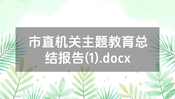 市直机关主题教育总结报告(1).docx