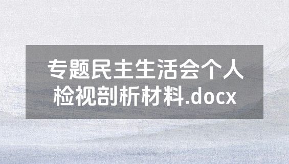 专题民主生活会个人检视剖析材料.docx