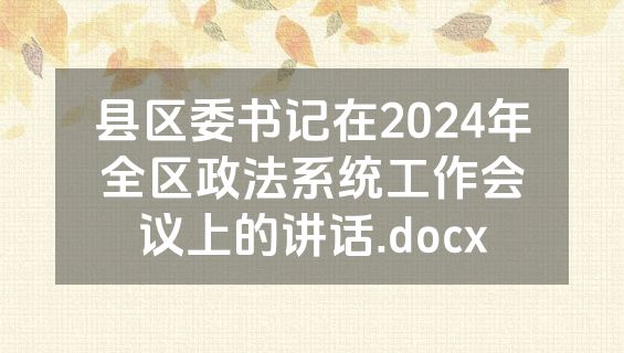 县区委书记在2024年全区政法系统工作会议上的讲话.docx