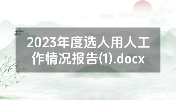 2023年度选人用人工作情况报告(1).docx