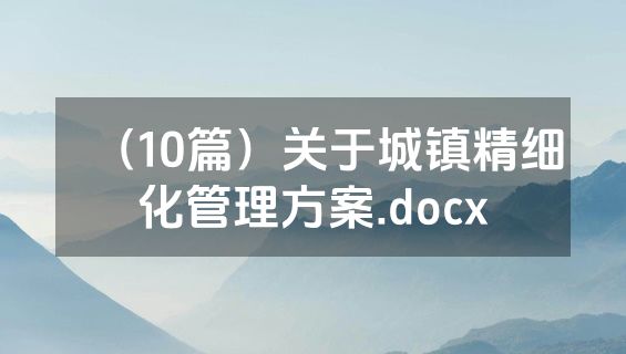 （10篇）关于城镇精细化管理方案.docx