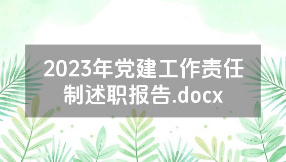 2023年党建工作责任制述职报告.docx