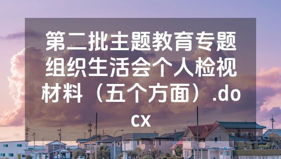 第二批主题教育专题组织生活会个人检视材料（五个方面）.docx