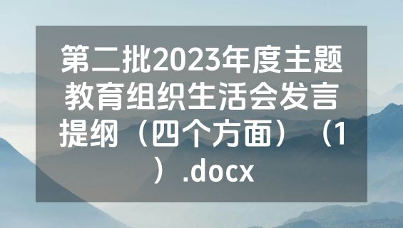 第二批2023年度主题教育组织生活会发言提纲（四个方面）（1）.docx
