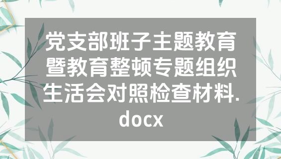 党支部班子主题教育暨教育整顿专题组织生活会对照检查材料.docx