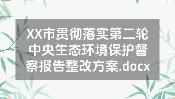XX市贯彻落实第二轮中央生态环境保护督察报告整改方案.docx