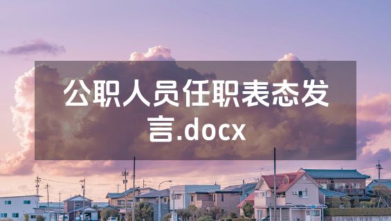 公职人员任职表态发言.docx