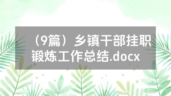 （9篇）乡镇干部挂职锻炼工作总结.docx