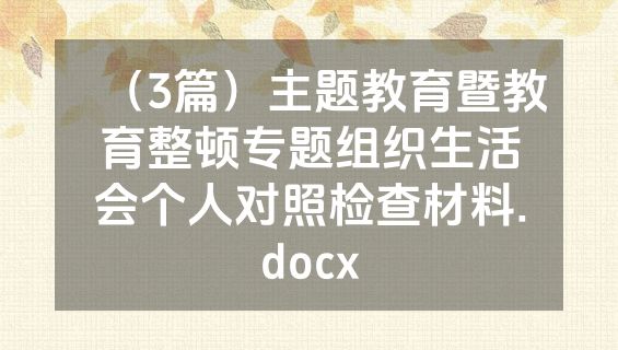 （3篇）主题教育暨教育整顿专题组织生活会个人对照检查材料.docx