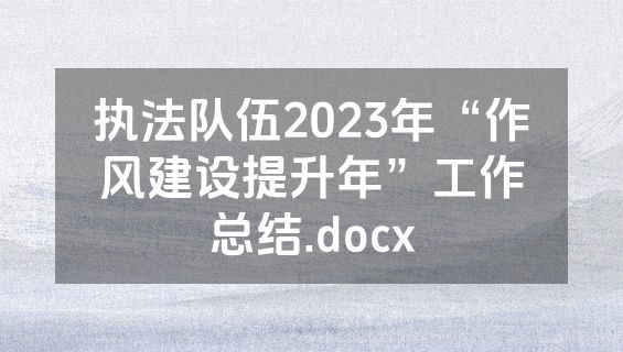 执法队伍2023年“作风建设提升年”工作总结.docx