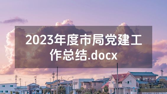 2023年度市局党建工作总结.docx