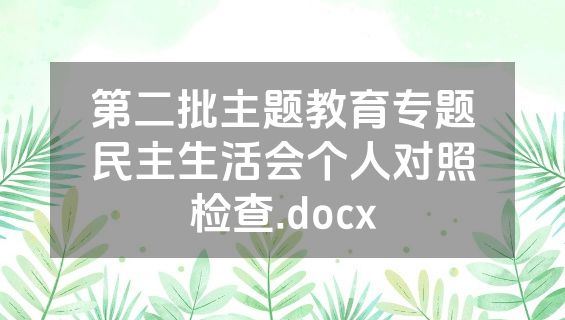 第二批主题教育专题民主生活会个人对照检查.docx