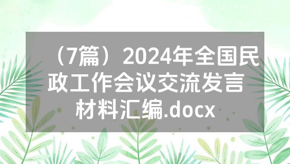 （7篇）2024年全国民政工作会议交流发言材料汇编.docx