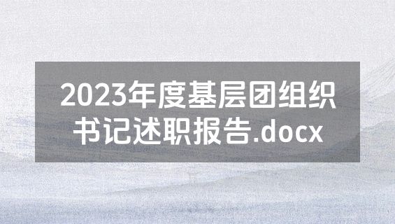 2023年度基层团组织书记述职报告.docx