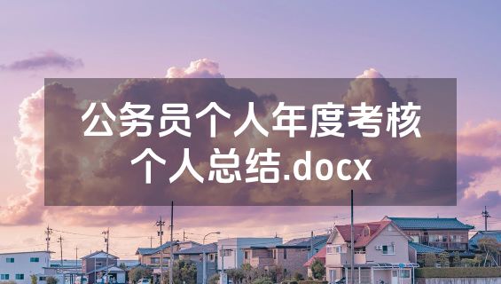 公务员个人年度考核个人总结.docx