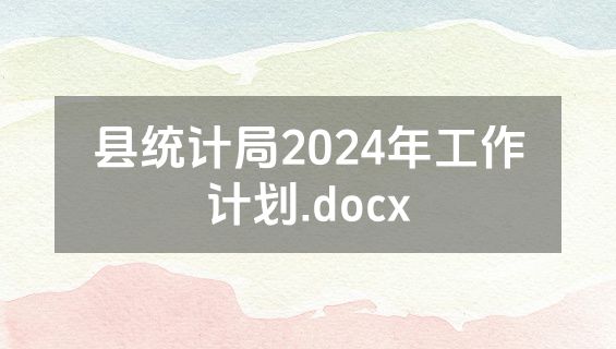 县统计局2024年工作计划.docx