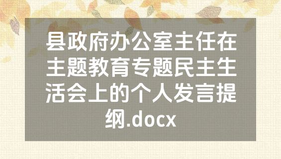 县政府办公室主任在主题教育专题民主生活会上的个人发言提纲.docx