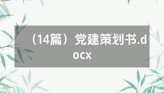 （14篇）党建策划书.docx