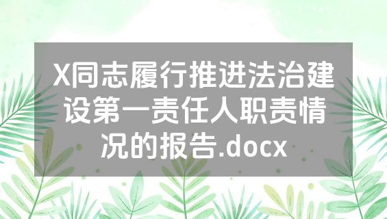 X同志履行推进法治建设第一责任人职责情况的报告.docx