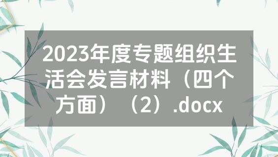 2023年度专题组织生活会发言材料（四个方面）（2）.docx
