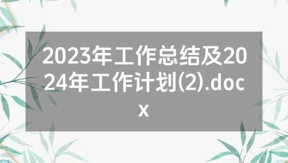 2023年工作总结及2024年工作计划(2).docx