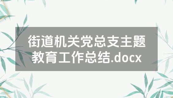 街道机关党总支主题教育工作总结.docx