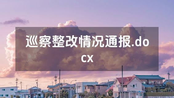 巡察整改情况通报.docx