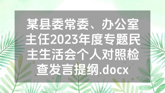 某县委常委、办公室主任2023年度专题民主生活会个人对照检查发言提纲.docx
