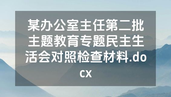 某办公室主任第二批主题教育专题民主生活会对照检查材料.docx
