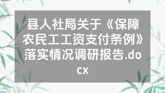 县人社局关于《保障农民工工资支付条例》落实情况调研报告.docx