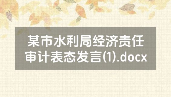 某市水利局经济责任审计表态发言(1).docx