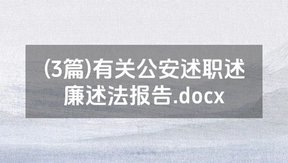 (3篇)有关公安述职述廉述法报告.docx