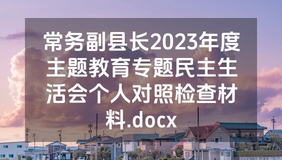 常务副县长2023年度主题教育专题民主生活会个人对照检查材料.docx
