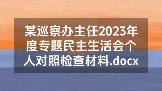 某巡察办主任2023年度专题民主生活会个人对照检查材料.docx