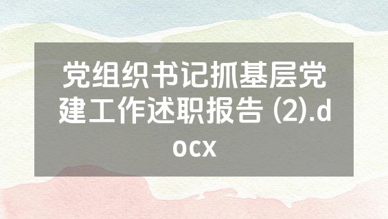 党组织书记抓基层党建工作述职报告 (2).docx