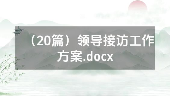 （20篇）领导接访工作方案.docx