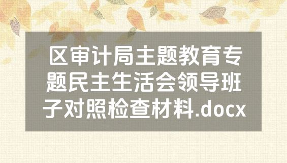 区审计局主题教育专题民主生活会领导班子对照检查材料.docx