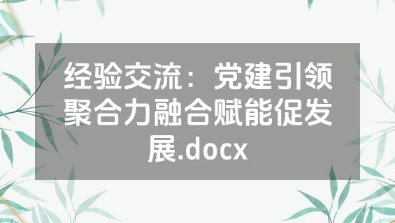 经验交流：党建引领聚合力融合赋能促发展.docx