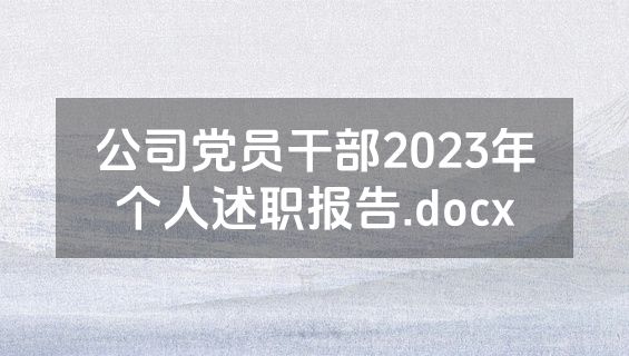 公司党员干部2023年个人述职报告.docx