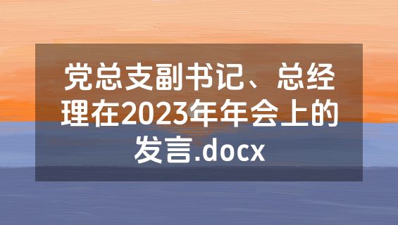 党总支副书记、总经理在2023年年会上的发言.docx