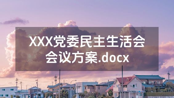 XXX党委民主生活会会议方案.docx